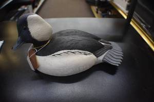 Duck Decoy