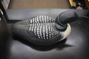 Lundell Loon