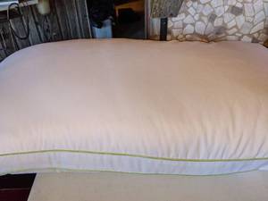 lot 127 image: Softex Nanotex King Size Pillow