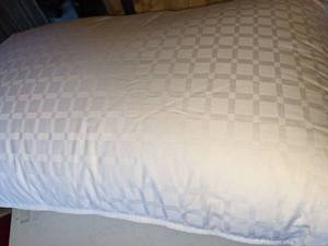 lot 117 image: The Company Store White Goose Down Standard Pillow wCover