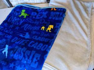 lot 140 image: 2 Kids Cozy Plush Blankets