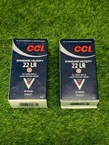 100 Rounds .22 Ammo Ammuinition 40gr
