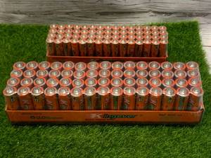 120 in Date Batteries (60 AA & 60 AAA)