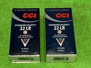 100 Rounds .22 CCI Ammo Ammunition
