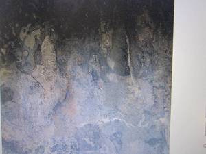 lot 225 image: 8 Cases Nexus 12x12 Self-Adhesive...