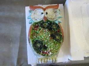lot 316 image: Solar Lighted Owl Garden Statue ope...