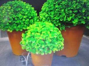lot 324 image: Set of 3 Solar Topiary Plants in Po...