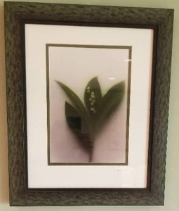 lot 96 image: Pair of Framed Artistic Lily of the Valley Photographs
