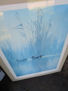 lot 104 image: Widgeon Print