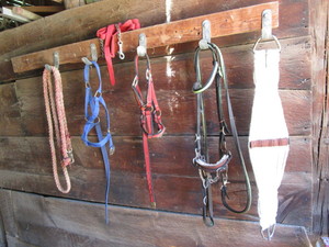 lot 206 image: Horse Tack
