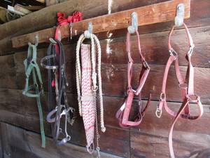 lot 208 image: Horse Tack