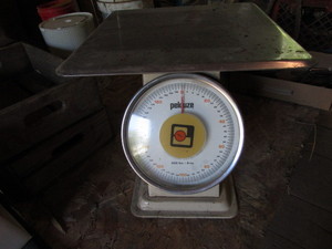 lot 210 image: Pelouze Scale