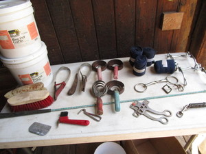 lot 211 image: Horse Care Supplies