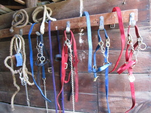 lot 214 image: Cow Halters & Lead Rope