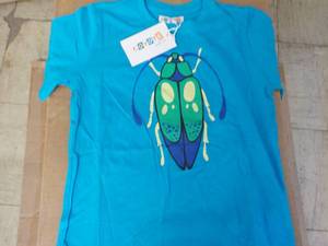 lot 160 image: Coyote and Co. bluet t-shirts 10 si...