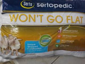 lot 203 image: Serta Wont Go Flat pillow...