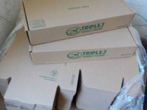 lot 313 image: 25 self closing boxes 24x10x4...