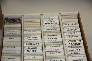 lot 33 image: 80s90s Baseball Card Star Lot