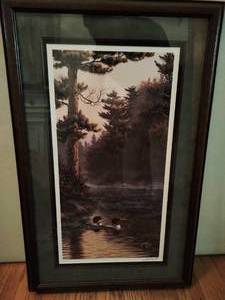 Framed Loon Print by Kelley