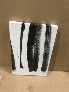Black on white 3 by Iris Lehnhardt Canvas Wall Art Customer Returns See Pictures&nbsp