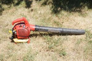 lot 14 image: Leaf blower
