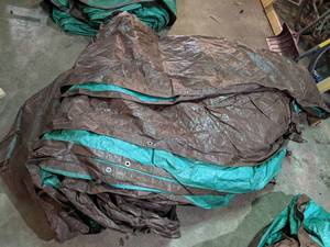 Very Large Tarp - Was Used to Cover a Large Garden
