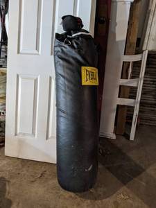 Everlast Punching Bag w Gloves