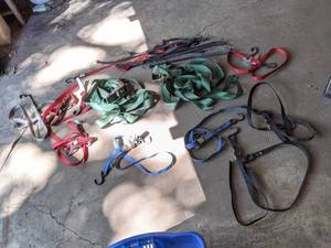 Lot of (11) Straps  Assorted Bungee Cords