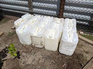 Lot of (14) 5 Gallon Plastic Jugs - Empty