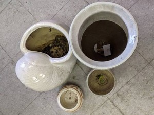 lot 180 image: Beautiful Nautilus Planter, Large Two-Tone Planter, & (2) Small Ceramic Planters