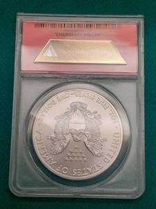 Silver Eagle