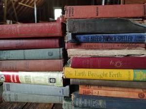 lot 20 image: Old book lot #1