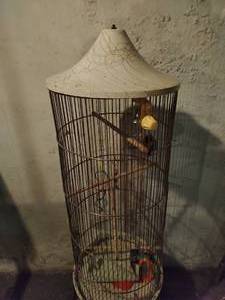 lot 5 image: Bird cage with stand