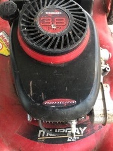 Lawnmower Murray