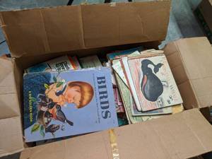 lot 146 image: Box Full of Vintage Childrens Books