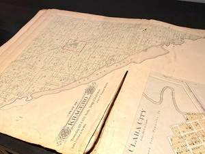 lot 41 image: Plat Book of Chippewa County Minnesota (1900)