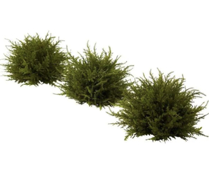 7.5 in. Cedar Balls (Set of 3)