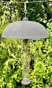 3 Bird Feeders