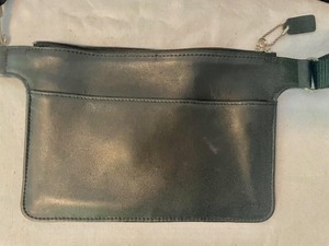 Coach Fanny Pack and Small Pink Wallet
