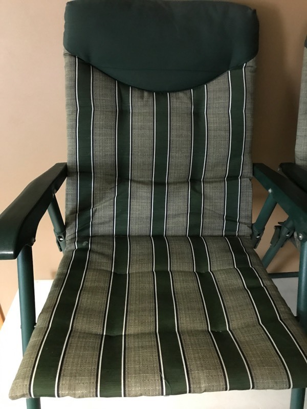 Pair of Patio Chairs