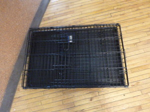 Pet Lodge Dog Kennel
