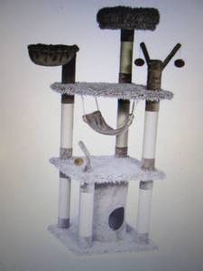 lot 156 image: Kitty Power Paws Siberian Mountain ...