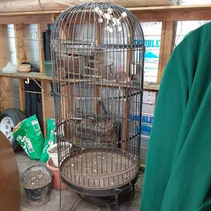 Heavy Metal Black Domed Bird or oth...