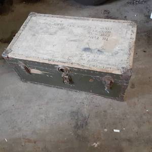 Vintage Green luggage trunk with br...