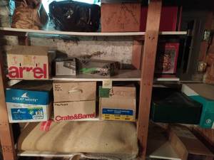lot 285 image: Basement Shelf
