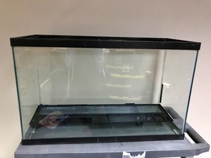 lot 11 image: Aquarium