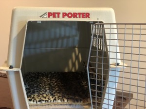 lot 156 image: Pet Carrier