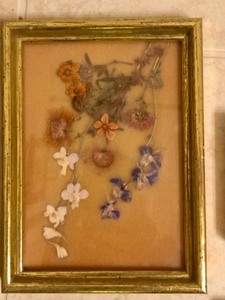 lot 176 image: Framed Pressed Flowers