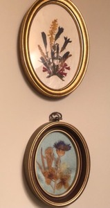 lot 177 image: Framed Pressed Flowers