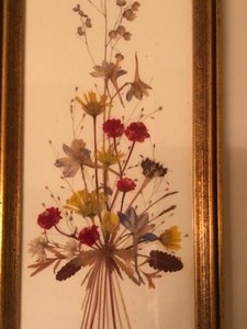 lot 178 image: Framed Pressed Flowers